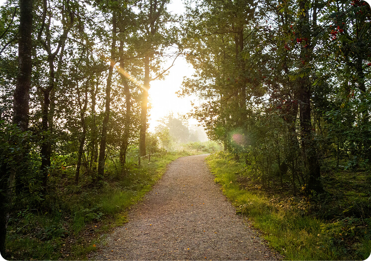Foto pad in de natuur